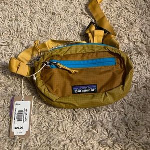 Cute Patagonia hip pack!